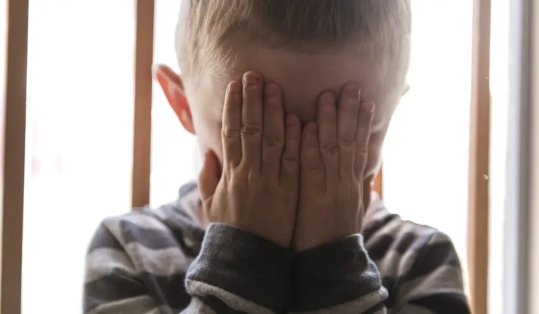 17 Parental Alienation strategier