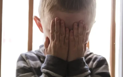 17 Parental Alienation strategier